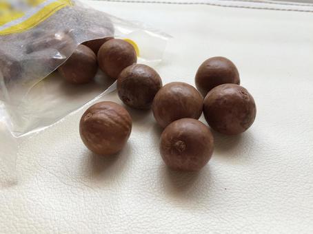 硬い殻のマカダミアナッツ6粒接写 マカダミアナッツ,殻付き,硬いの写真素材