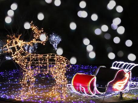 はままつフラワーパーク　イルミネーション イルミネーション,クリスマス,夜景の写真素材