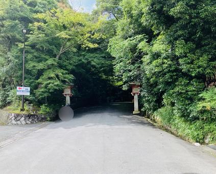 石上神宮 参道 石上神宮 参道 石上神宮,奈良県天理市,十六社の写真素材