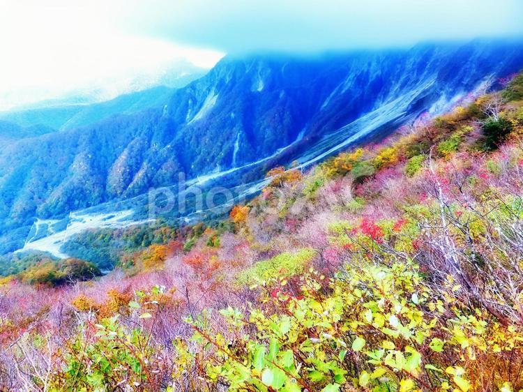 秋の大山・紅葉 秋,紅葉,山の写真素材