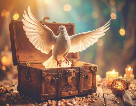 鳩とトランクの魔法 鳩とトランクの魔法の写真
