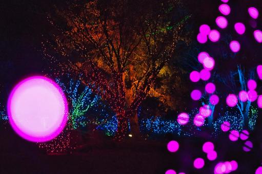 Illumination and bokeh in a park at night, america, overseas, night view, JPG