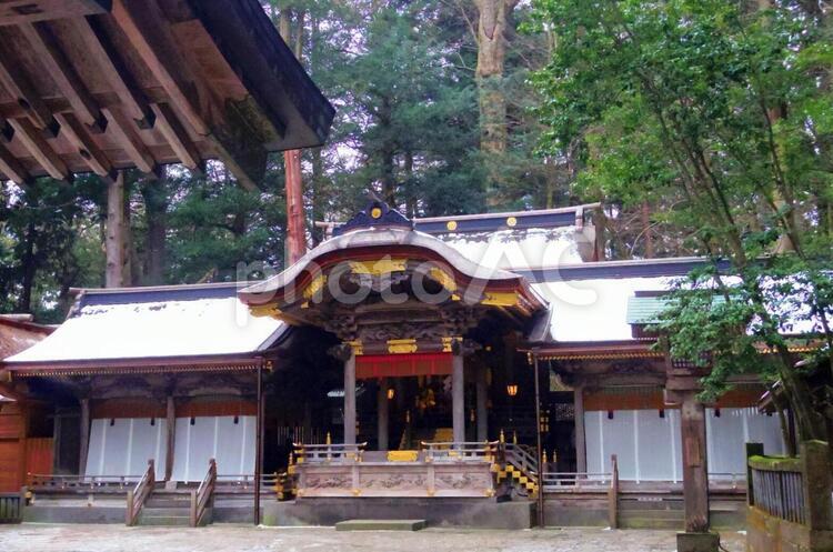 【長野県】諏訪大社 諏訪大社,長野県,神社の写真素材