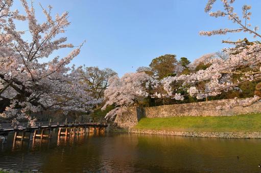 彦根城 彦根城の写真
