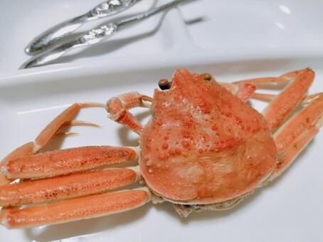 カニ カニ,蟹,赤の写真素材