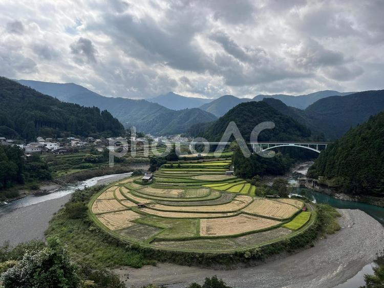 【和歌山】あらぎ島の風景 あらぎ島,棚田,田んぼの写真素材