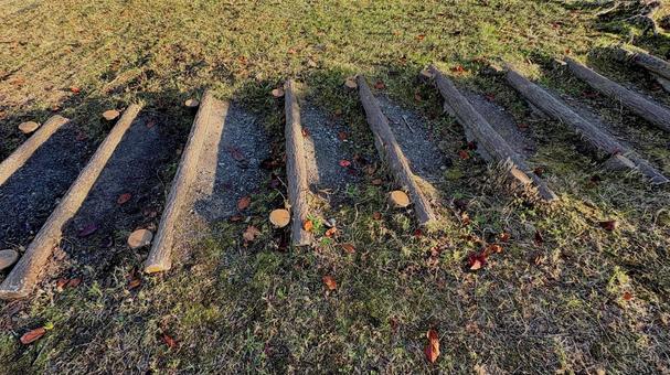 落ち葉と木製の階段 階段,木製,落ち葉の写真素材