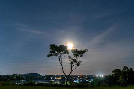 町を照らす月と木 月,月明かり,月光の写真素材