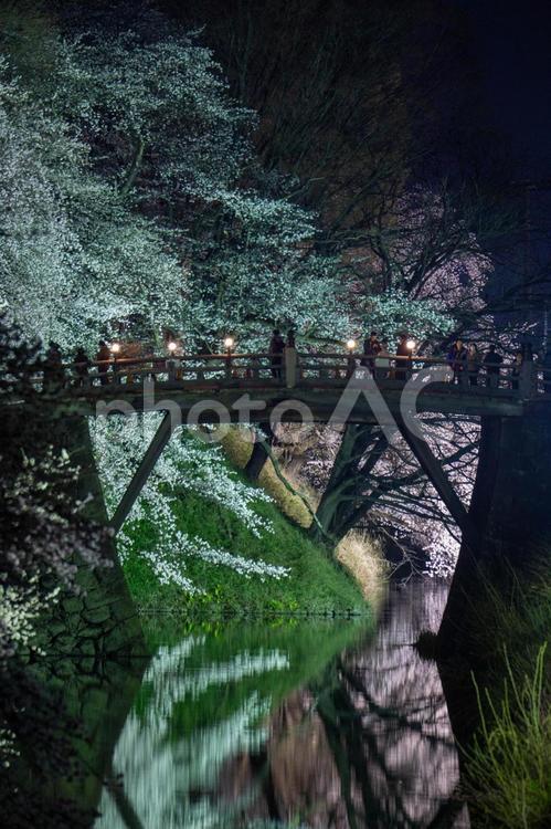 霞城公園の水面に映る夜桜 桜,夜桜,花見の写真素材