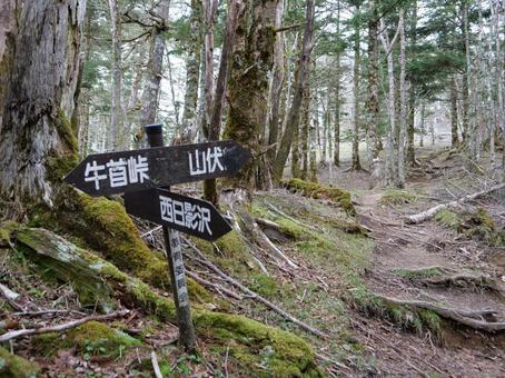 山伏の分岐看板 山伏の分岐看板 山伏,早川町,静岡市の写真素材