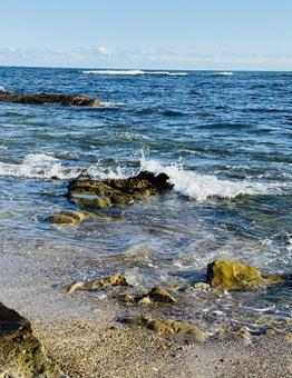 浜辺で遊ぶ 海,太平洋,白波の写真素材