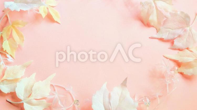 かわいいメッセージカード　素材 背景,フレーム,壁紙の写真素材