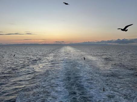 船上からの夕暮れの海 船上からの夕暮れの海 波,夕暮れ,カモメの写真素材