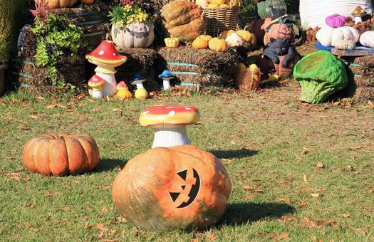 ハロウィン飾り・展示/とっとり花回廊 ハロウィン飾り・展示/とっとり花回廊 ハロウィン,ハロウィン飾り,ハロウィン展示の写真素材