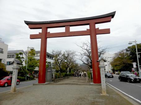 2014年11月、鶴岡八幡宮・二の鳥居 2014年11月、鶴岡八幡宮・二の鳥居の写真