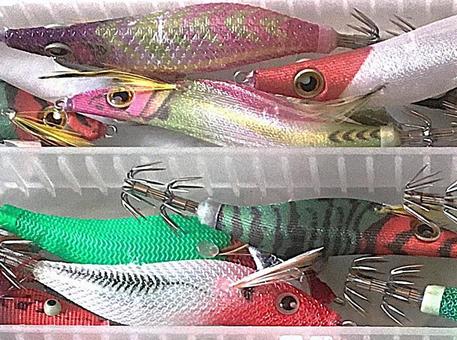 Photo, an egg, fishing, squid fishing, 