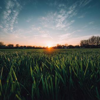 地平線に沈む太陽が照らす広大なフィールドの写真