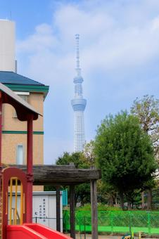 スカイツリーが見える公園 スカイツリーが見える公園の写真