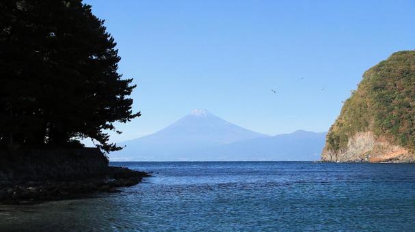 御浜岬から眺める富士山と出逢い岬 富士山,秋,愛鷹山の写真素材
