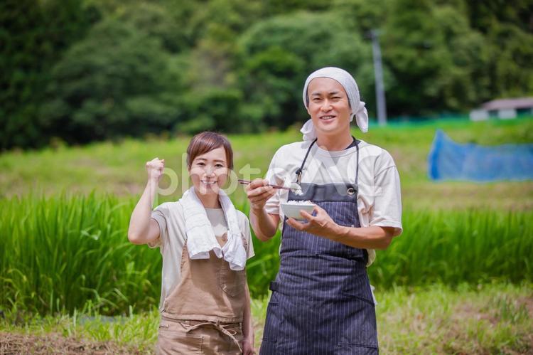 お米と農家 農家,お米,農業の写真素材