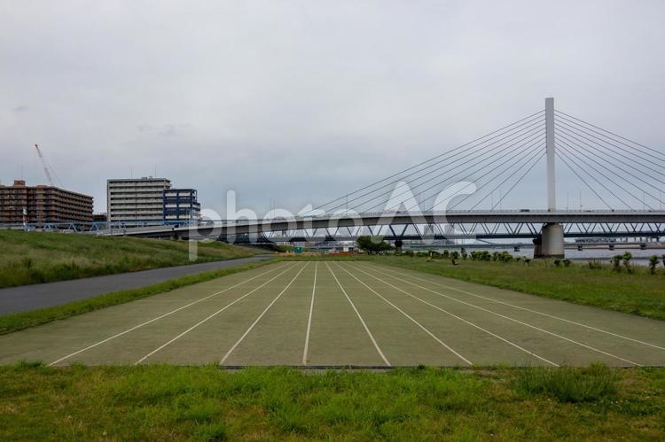 荒川　河川敷 荒川,河川敷,土手の写真素材