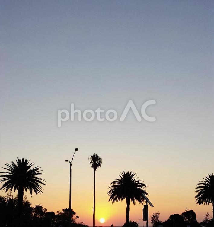 メルボルンの夕暮れ風景 夕焼け,空,たそがれの写真素材