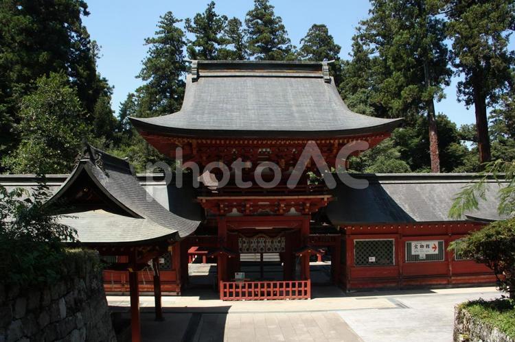 赤井神社＠一之宮貫前神社 神社,本殿,上総の写真素材