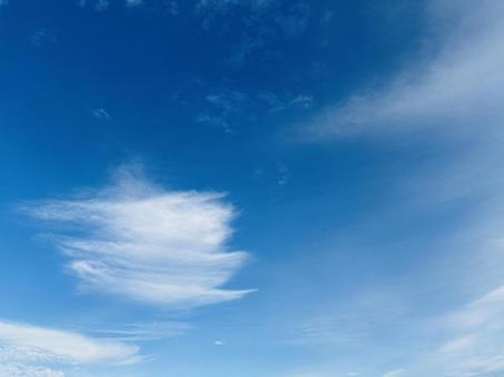 青空　コピースペース 空,青空,曇りの写真素材
