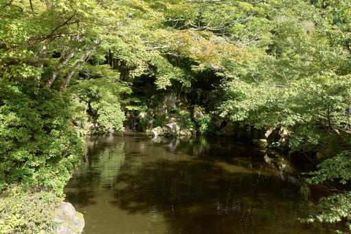 京都府-醍醐寺-大伝法院-弁天池の写真