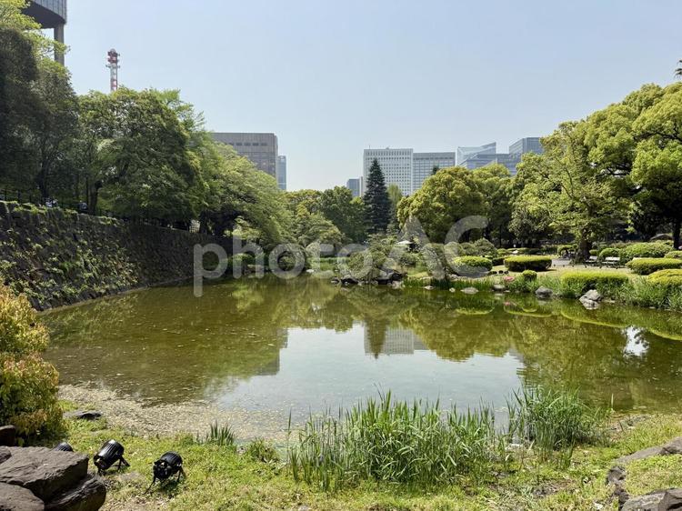 日比谷公園　心字池 霞ヶ関,千代田区,都会の写真素材