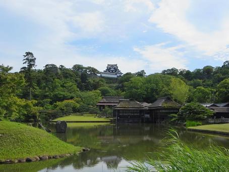 玄宮園から見た彦根城 玄宮園,彦根城,城の写真素材