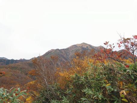 紅葉(越後三山・越後駒ヶ岳) 紅葉(越後三山・越後駒ヶ岳)の写真