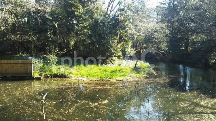 公園散策池風景 春,緑,木々の写真素材