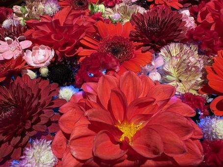 花手水 フラワーアレンジメント,カーネーション,赤いの写真素材