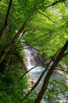 250527昇仙峡 山梨県,甲府市,昇仙峡の写真素材