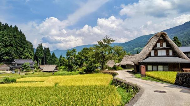 田舎 田舎 合掌造り,世界遺産,地方の写真素材