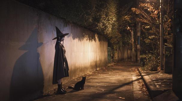 魔女と黒猫の夜道 魔女と黒猫の夜道の写真