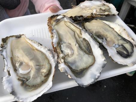 生牡蠣の写真