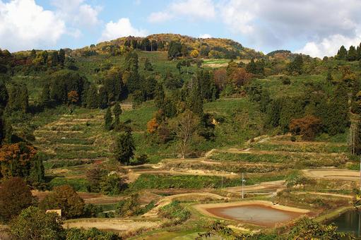 25年　山古志金倉山の紅葉 風景,自然,山の写真素材
