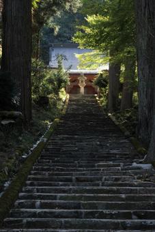 春のお寺 春のお寺の写真
