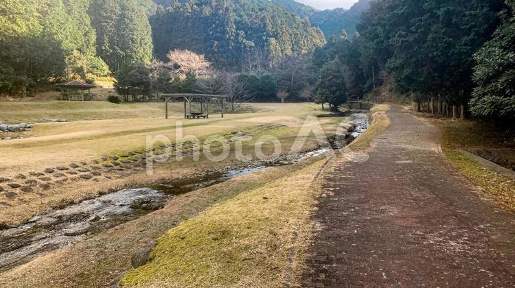 薬王寺水辺公園の風景 公園,自然,水辺の写真素材