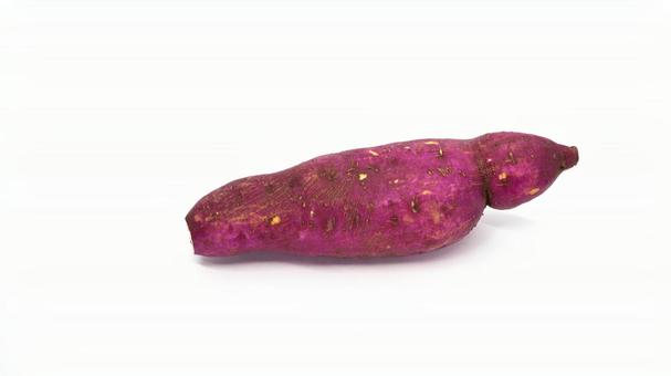 サツマイモ(甘藷) サツマイモ(甘藷) サツマイモ,甘藷,野菜の写真素材