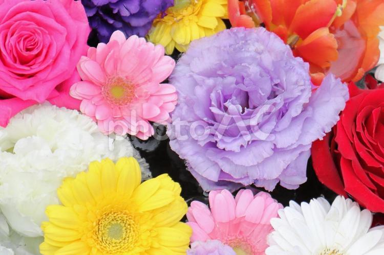 カラフルな花　バラ・ラナンキュラスなど 春,花束,華やかの写真素材