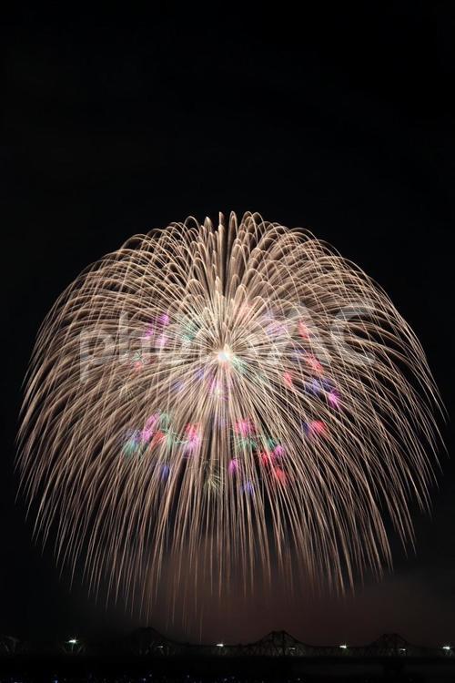 長岡花火大会 長岡花火,長岡,花火大会の写真素材