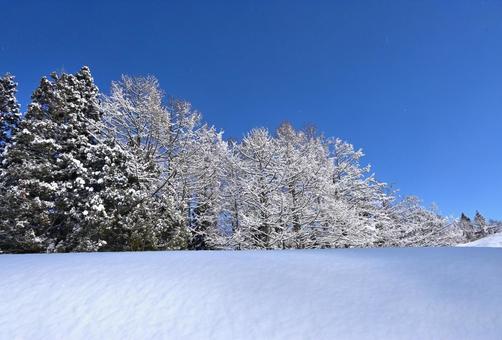青空と雪の高原の景色（6） 雪景色,雪国,高原の写真素材