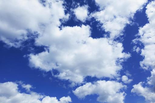 秋の空41 秋の空41 秋,青空,空の写真素材