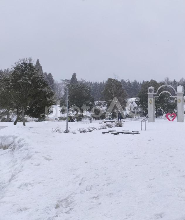冬の蒜山高原サービスエリア 蒜山,蒜山高原,雪の写真素材