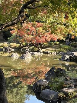 旧古河庭園 旧古河庭園 庭園,旧古河庭園,水鏡の写真素材