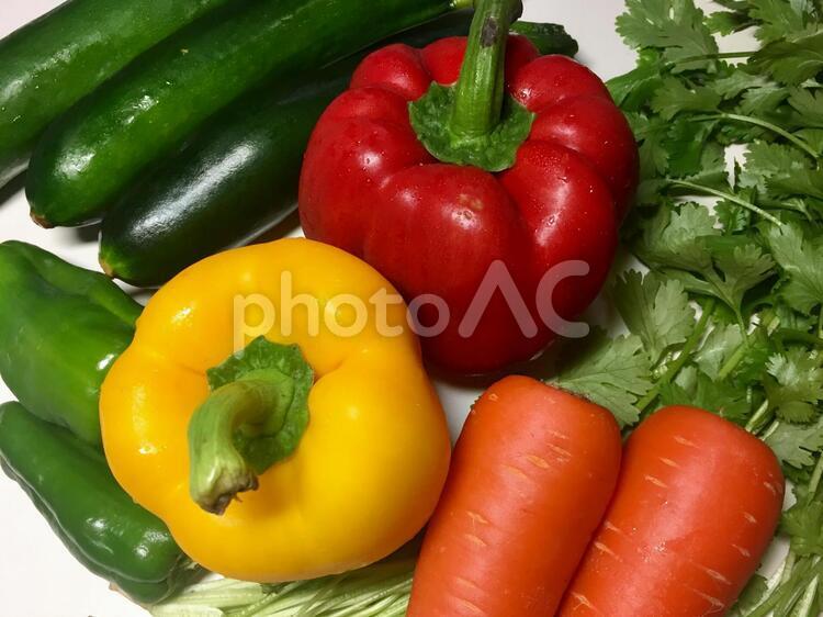 フレッシュ！採りたて野菜 野菜,フード,健康の写真素材