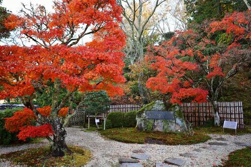 紅葉の玄々斎宗室生誕碑（奥殿陣屋） 玄々斎宗室生誕碑,奥殿陣屋,紅葉の写真素材